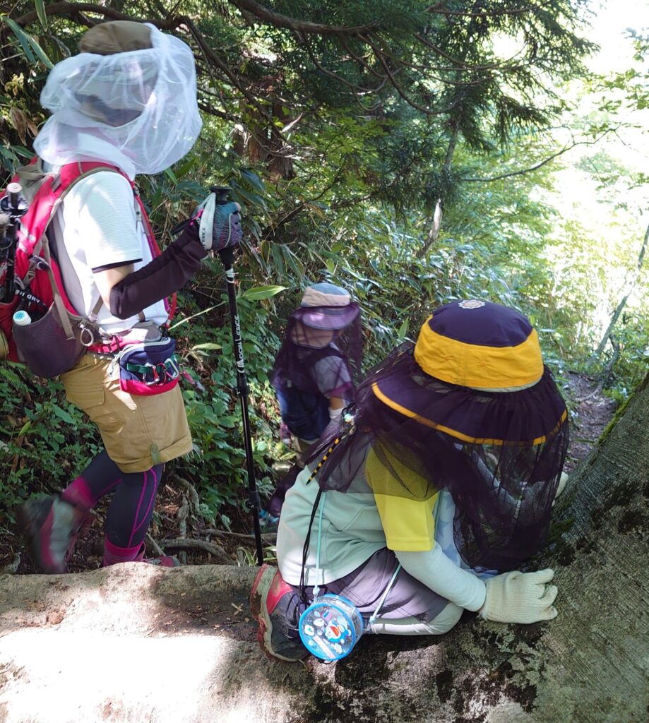 虫除けネットを帽子の上からかぶって山道を歩く子供。夏の低山の虫対策