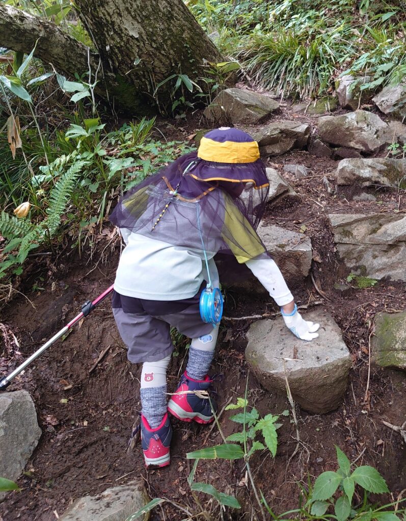 恐羅漢山の登山道で足の置き場を考えながら岩を登る息子の後ろ姿