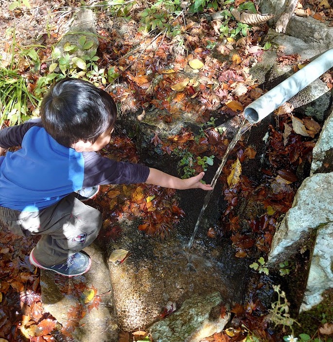 深入山の登山道の水場に触れる3歳の子ども