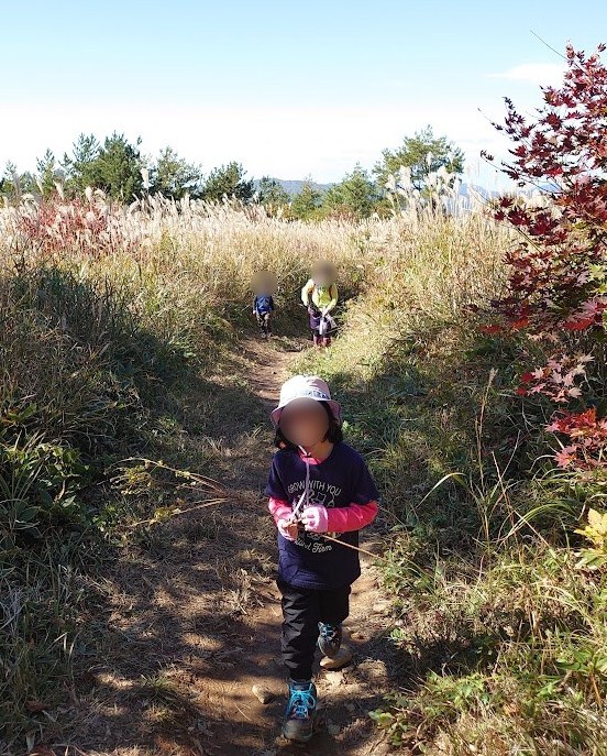 深入山のススキの草原を歩く6歳の子ども