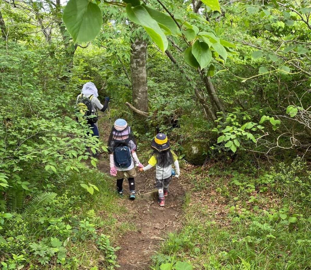 新緑の登山道を、手をつないで歩く姉と弟の後ろ姿