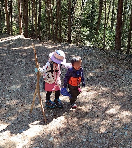 杉林の登山道で、3歳の弟に寄り添って歩く6歳の娘