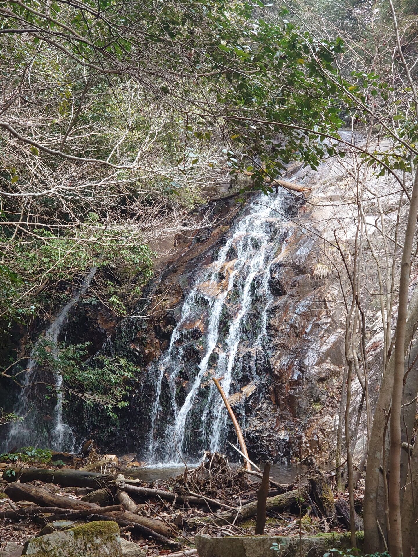 堂床山の登山道の途中にある石采の滝。岩肌を幾筋にも分かれて流れ落ちる冬の滝