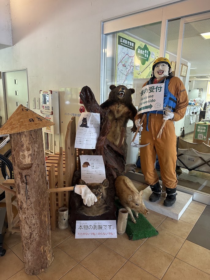 湯来交流体験館の受付に展示されたツキノワグマとイノシシの剥製
