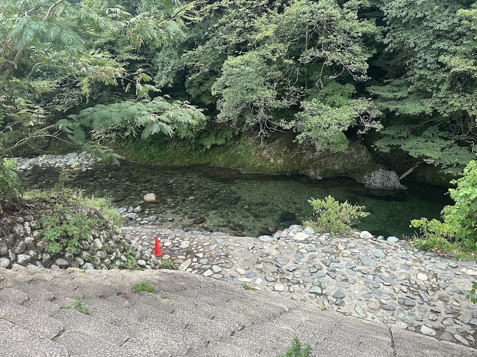澄んだ水内川の淵と周囲の深い緑