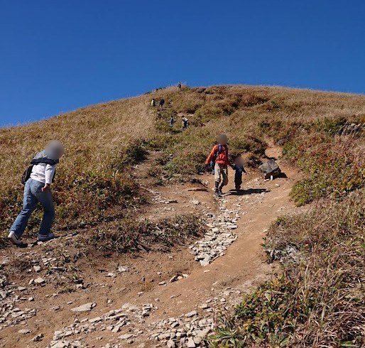 深入山の正面コースの、石がまじる草原の急斜面