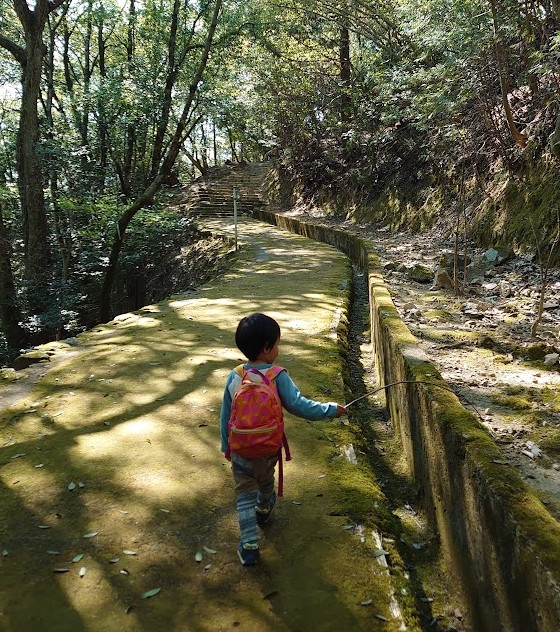 苔の生えた道を、枝を手に持って歩く息子の後ろ姿