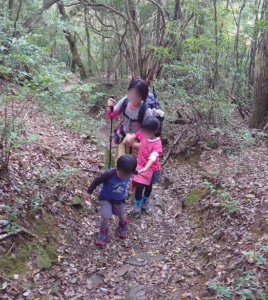 落ち葉の積もった白木山の登山道を登る親子