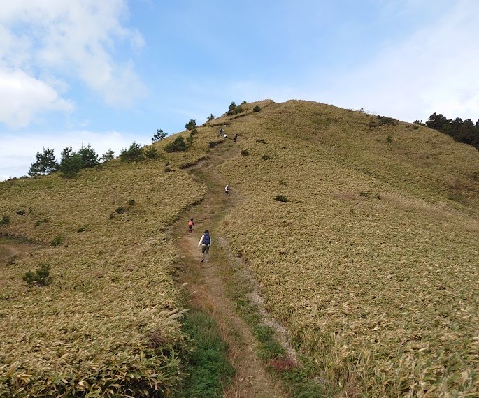 草原の稜線に続く登山道を登っていく登山者（雲月山の縦走路）