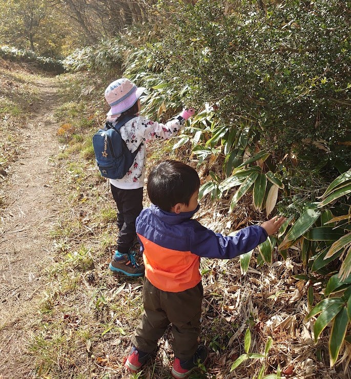 下山路のわきで木の実を集める6歳の娘と3歳の息子