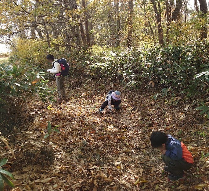 落ち葉の積もった下山路でどんぐりを探す母と6歳の娘と3歳の息子