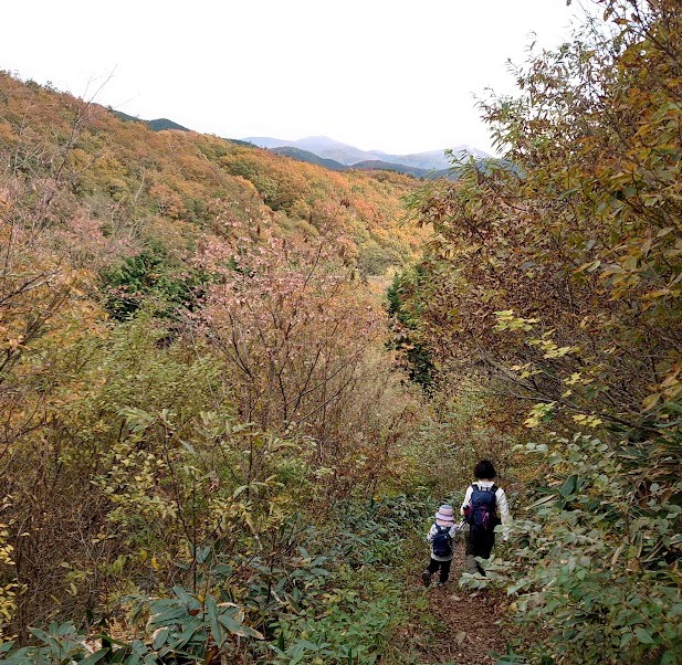 紅葉した山あいの下山路を歩く母と6歳の娘の後ろ姿