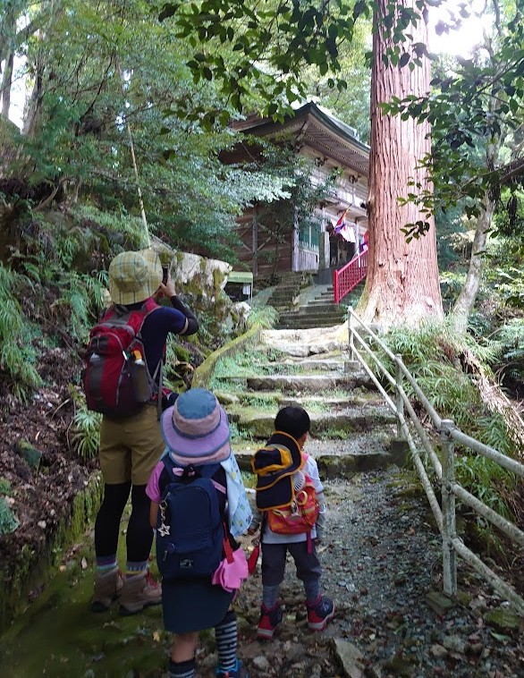 石段の先に見える仁王門と、そばにそびえる巨杉
