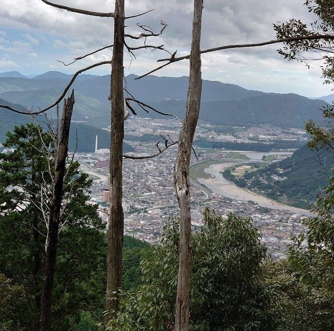 木々の間から見下ろす可部の町並みと川