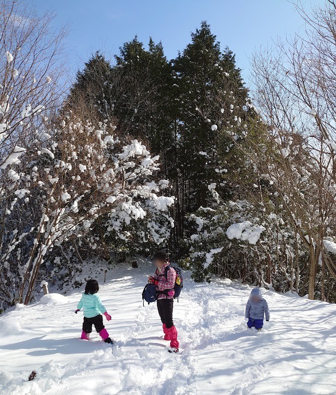 晴れた日に雪の山道を歩く家族